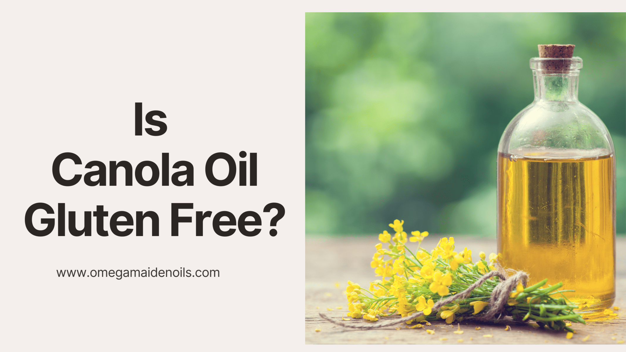 Is Canola Oil Gluten Free