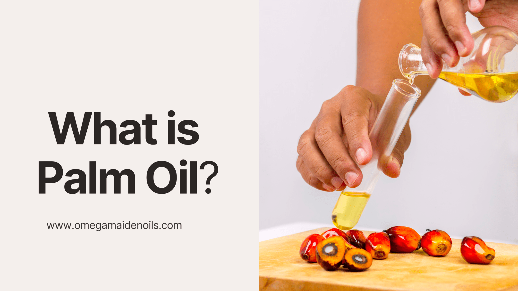 What is Palm Oil